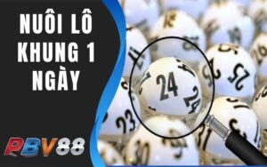 Nuôi Lô Khung 1 Ngày