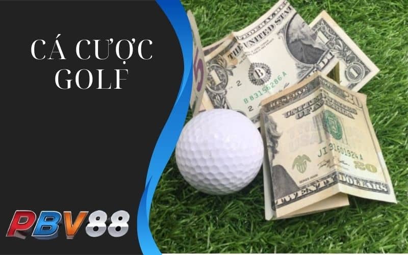 Cá cược golf có phần thưởng giá trị cao