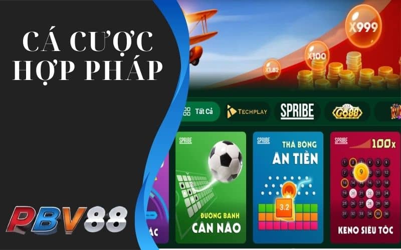 Cá cược tại PBV88 hoàn toàn hợp pháp