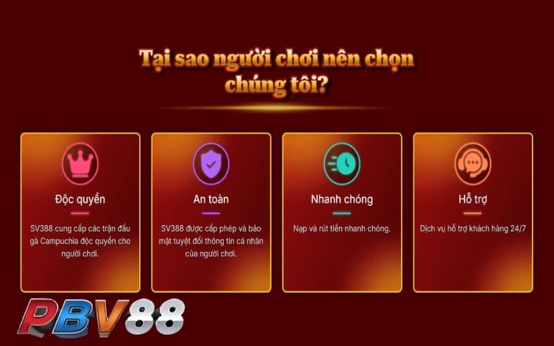 PBV88 là thương hiệu uy tín thu hút nhiều người chơi