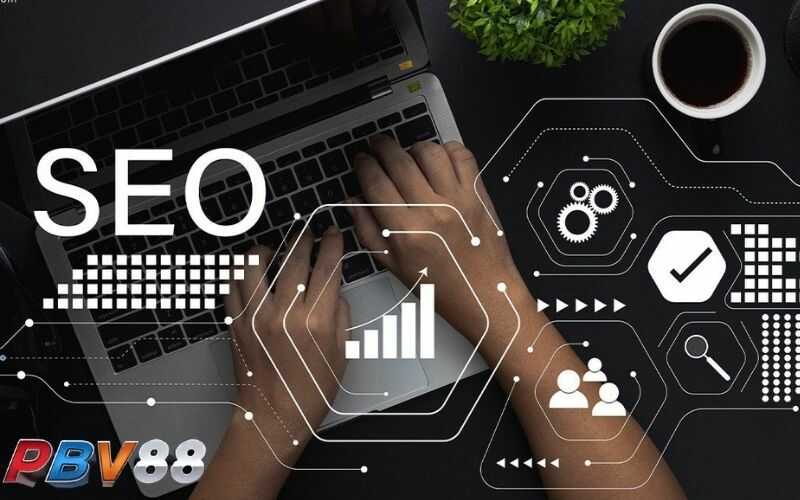 Tuyển dụng nhân viên SEO tại PBV88 phát triển website